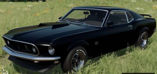 1969 Ford Mustang