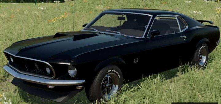 1969 Ford Mustang