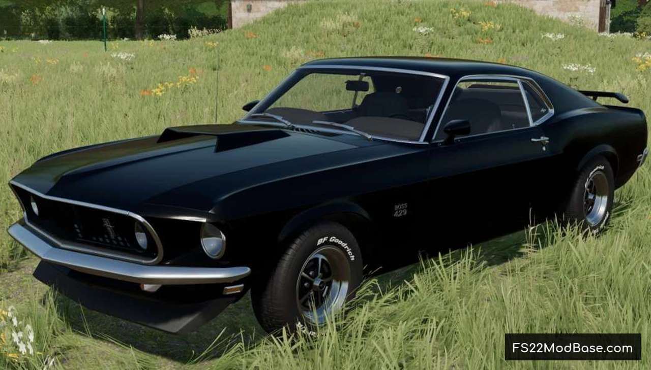 1969 Ford Mustang