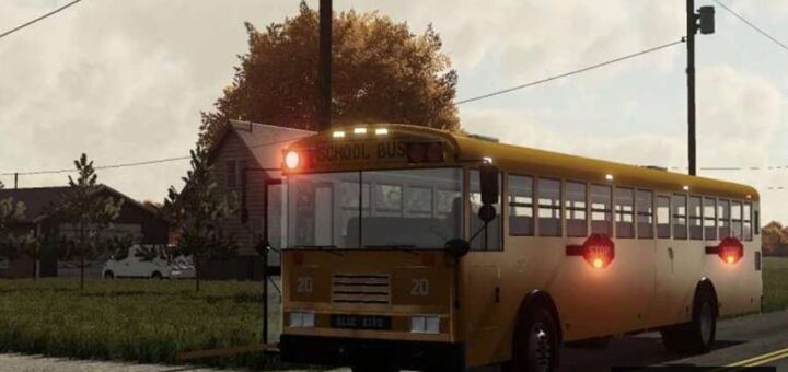 Blue Bird School Bus