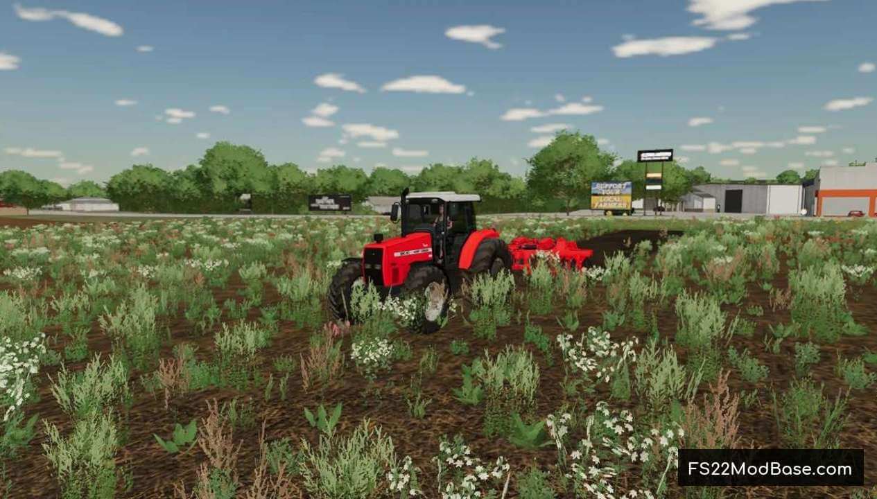 Massey Fergusson 680HD