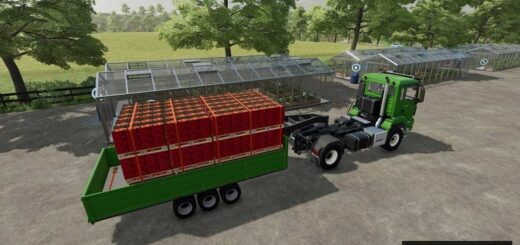 Goose Neck Pallet Trailer Autoload