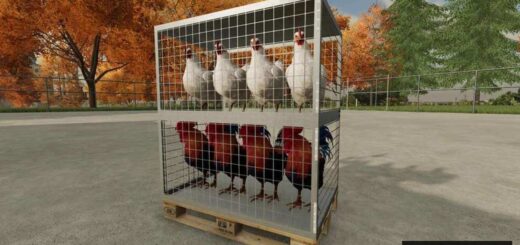 Chicken Transport Crate