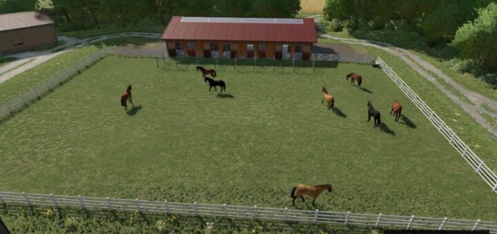 Horse Stable With Paddocks