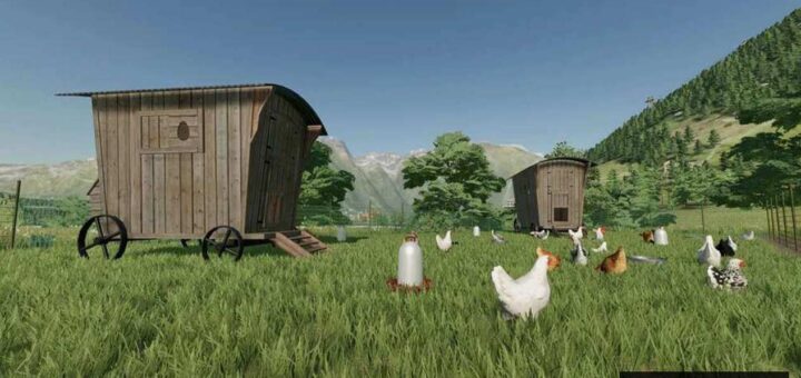 Large Outdoor Chicken Coop