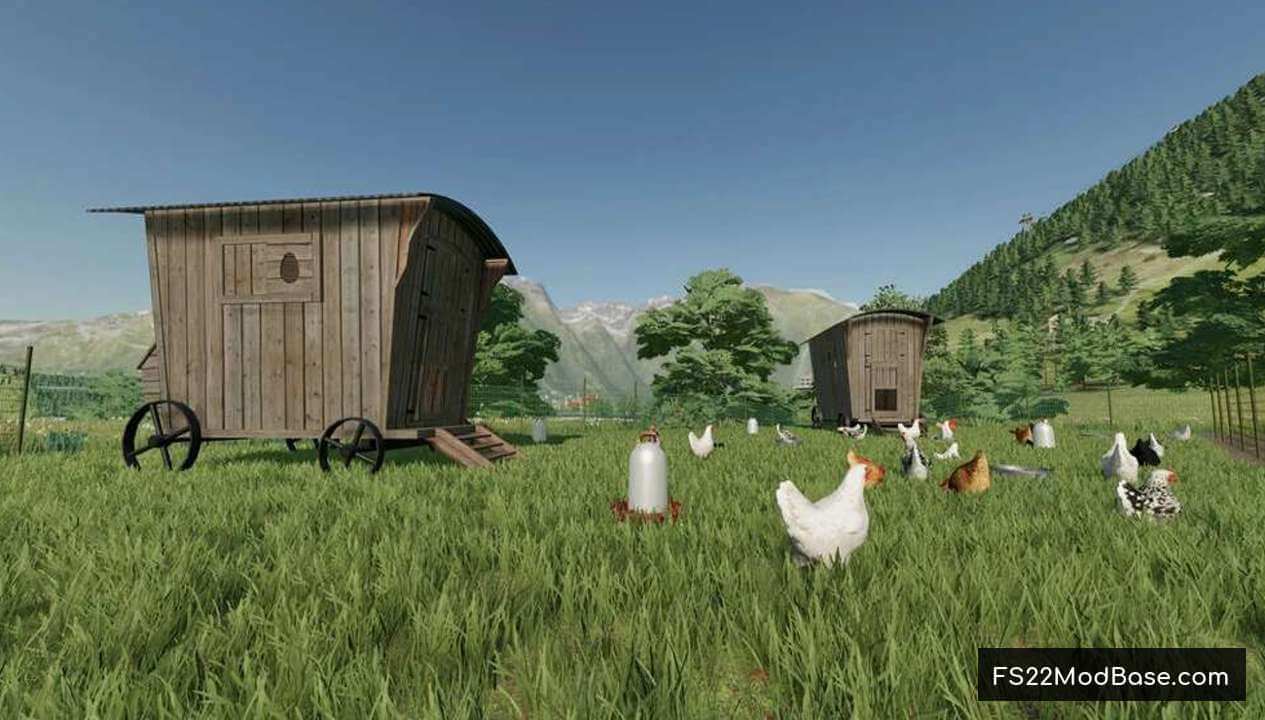 Large Outdoor Chicken Coop