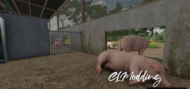 Modern Piggery