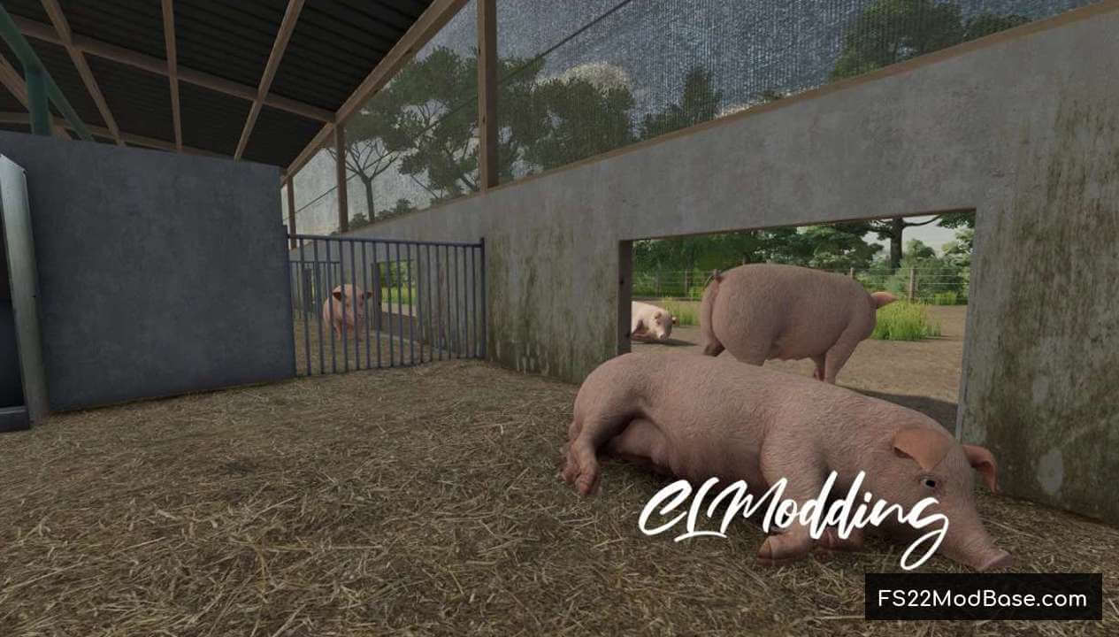 Modern Piggery