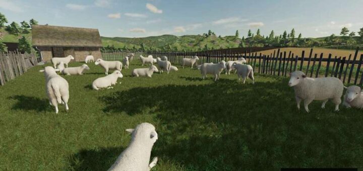 Sheep Small Barn