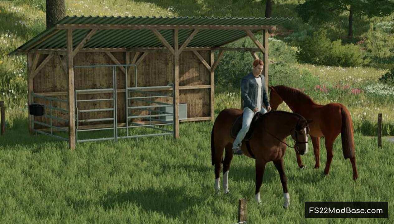 Small Horse Pasture