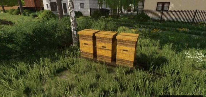 Polish Hives