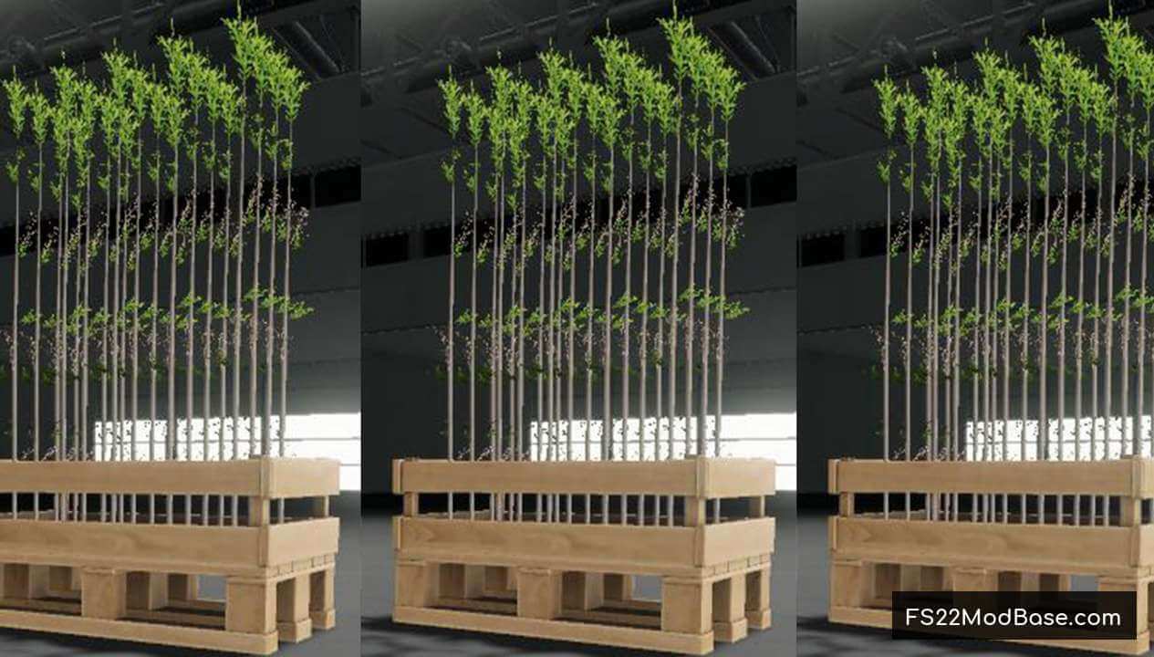 Tree Saplings Pallet 50x