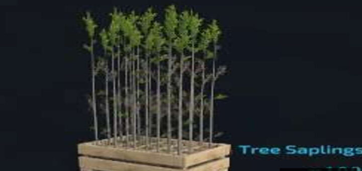 Tree Sapling x 120 Pieces